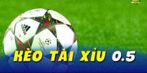 cách cá độ bóng đá tài xỉu