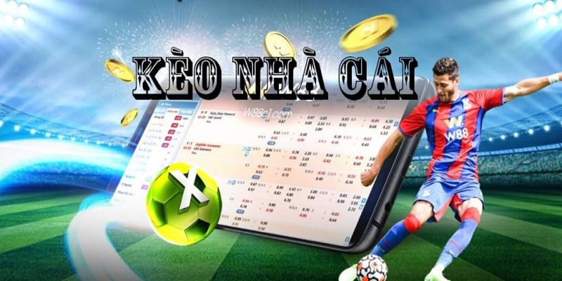 soi kèo nhà cái w88 soi kèo nhà cái w88