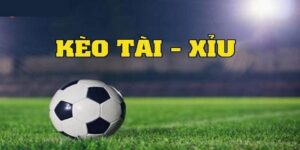 luật cá độ bóng đá tài xỉu